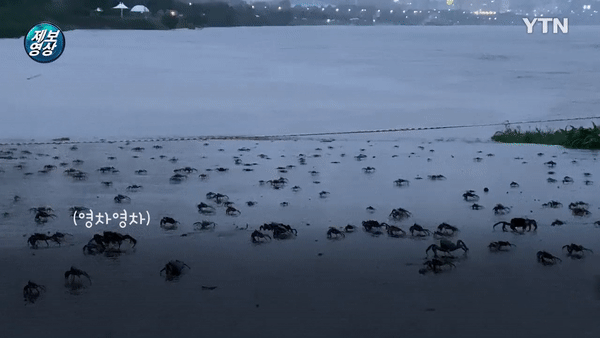 보고도 안믿기는 어제 한강 모습.gif | 인스티즈