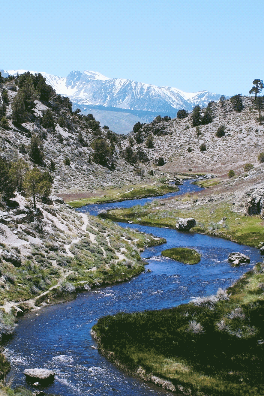 번지점프 업그레이드 버전 | 인스티즈