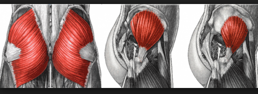 가장 멋지다고 생각하는 근육은? | 인스티즈