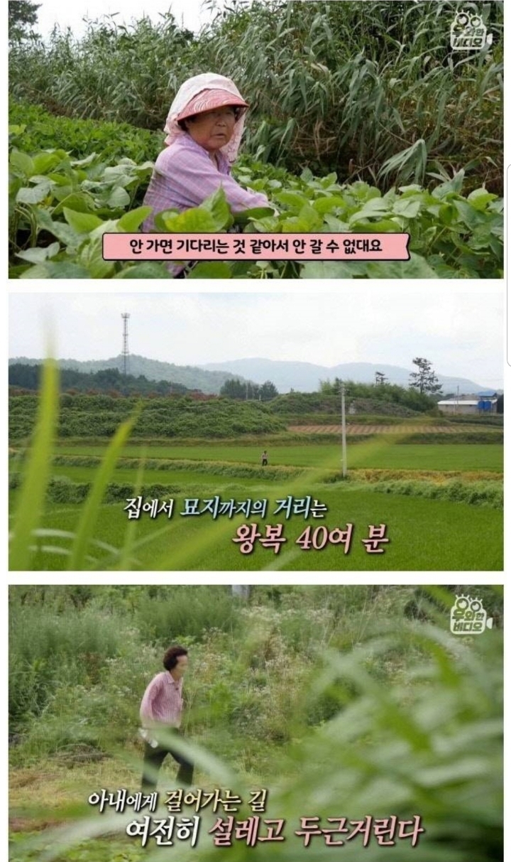 스압) 할아버지의 무덤 로맨스.jpg | 인스티즈