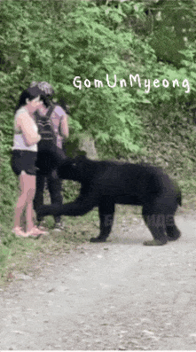 산에서 만난 곰이 귓속말하고 다리 건드림 | 인스티즈