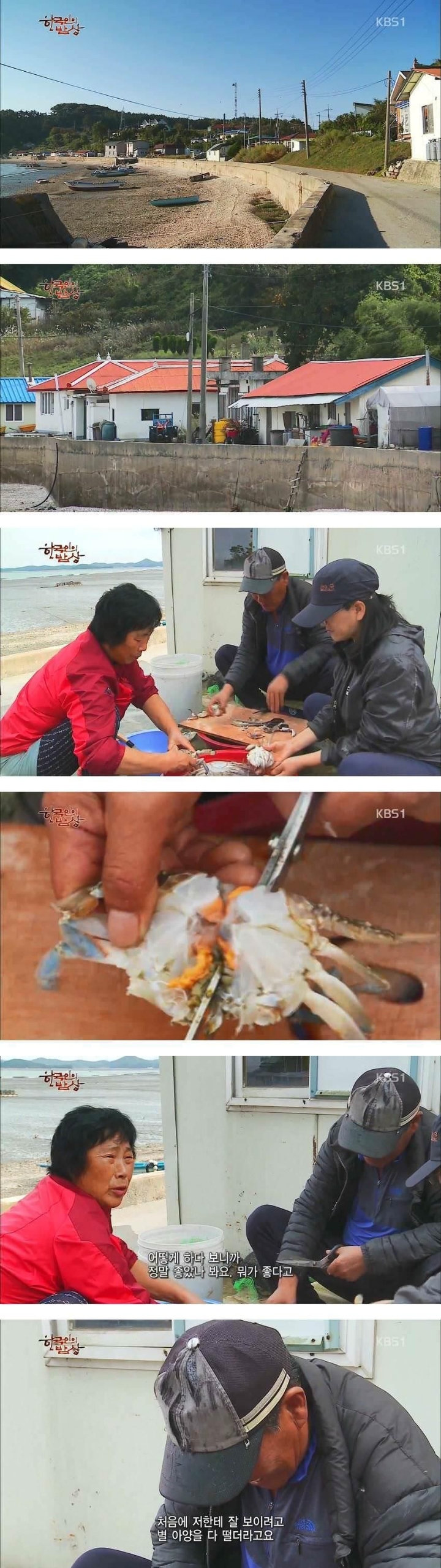 한국인의 밥상 꽃게.jpgif | 인스티즈