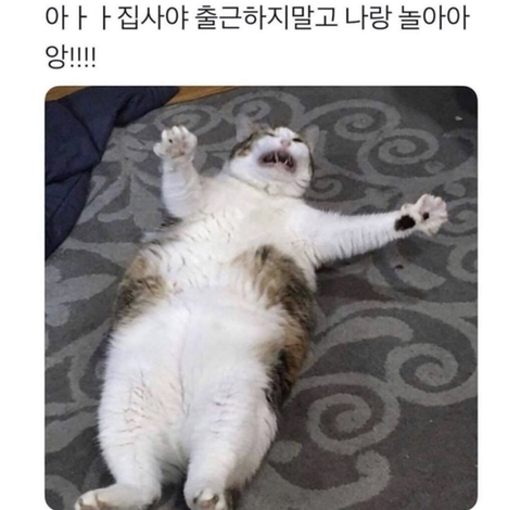 집사야~ | 인스티즈
