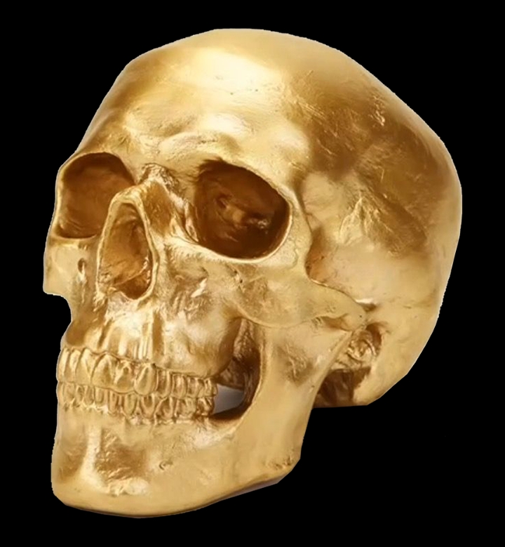 혐) 돌고래 학살하는 일본인.jpg | 인스티즈