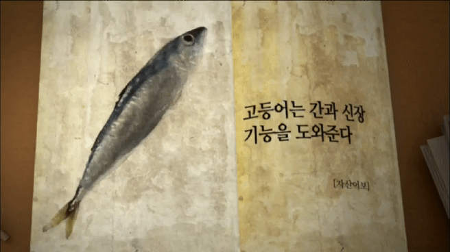 한국인의 밥상 고등어편 | 인스티즈