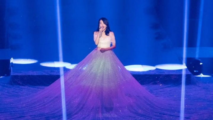 아이유 콘서트용 드레스 크기.jpg | 인스티즈