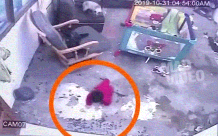 큰사고 날뻔한 아기를 구해내는 냥이 .gif | 인스티즈