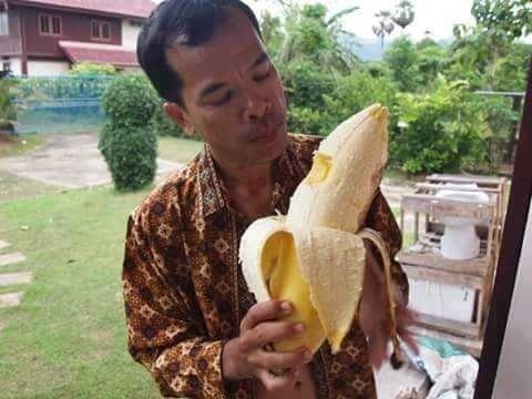 꼬추 이미지