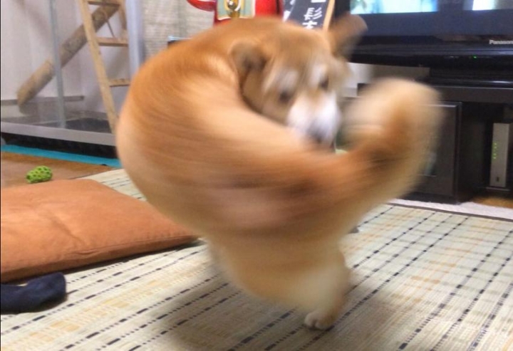 훅 이미지