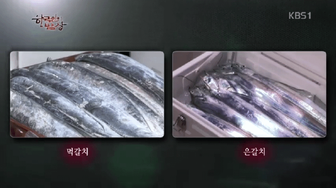 한국인의 밥상 갈치편 | 인스티즈