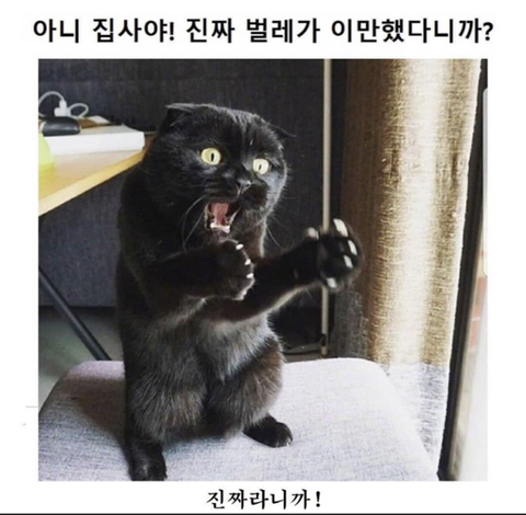 집사야~ | 인스티즈