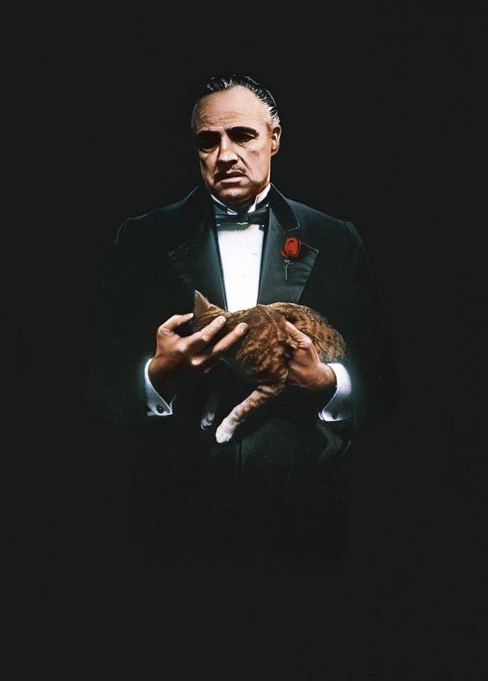 배경화면으로 쓰기좋은 텍스트 지운 영화포스터 | 인스티즈