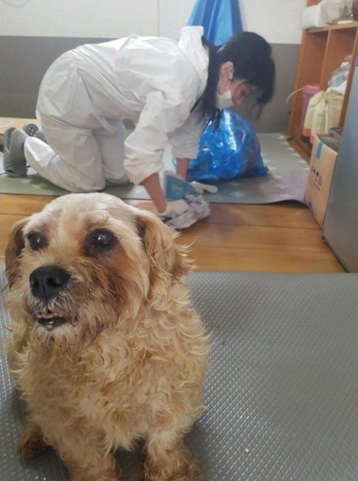 대한민국 연예인 원탑.jpg | 인스티즈