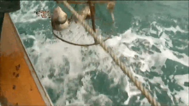 한국인의 밥상 물메기 밥상편 | 인스티즈