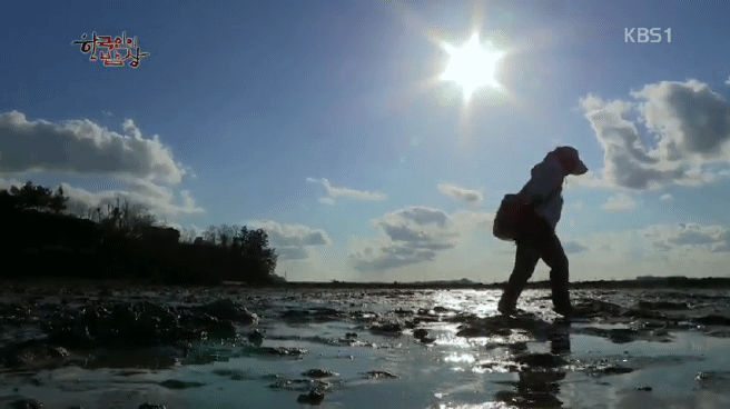 한국인의 밥상 무안 황토 갯벌 밥상편 | 인스티즈