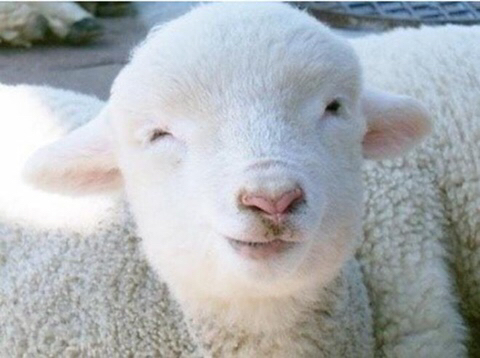 예술가들이 자기소개 할 때 하는말은? | 인스티즈