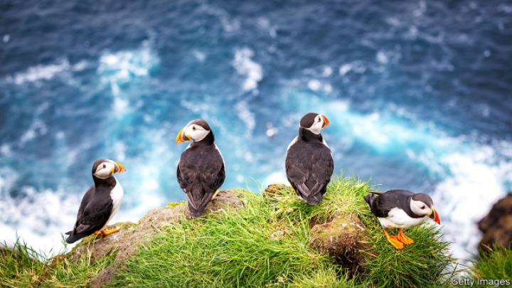 자연 경관이 아름답기로 손꼽히는 곳.jpg | 인스티즈