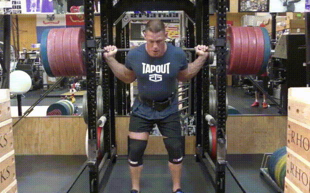 시나 스퀘트 260kg | 인스티즈