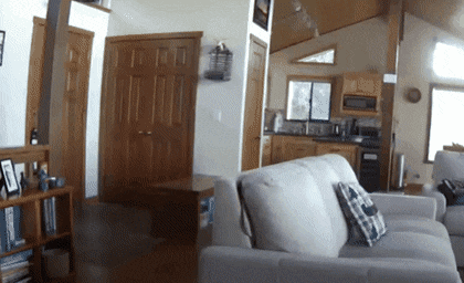 집주인 나와라.gif | 인스티즈