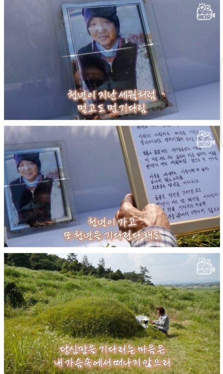 스압) 할아버지의 무덤 로맨스.jpg | 인스티즈