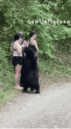 산에서 만난 곰이 귓속말하고 다리 건드림 | 인스티즈
