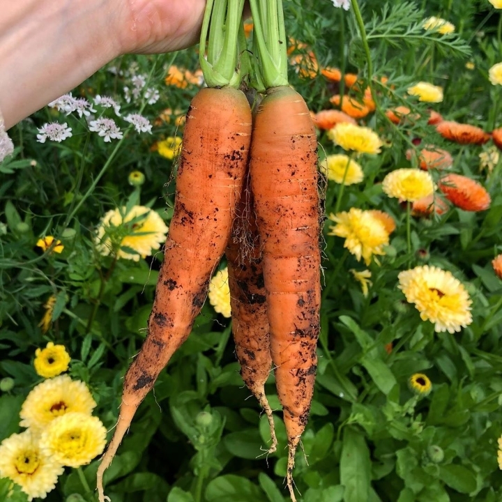 우라가 몰랐던 소화전의 진실.jpg | 인스티즈