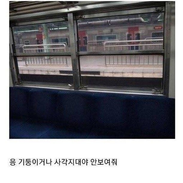 한국 지하철의 유일한 결점.jpg | 인스티즈