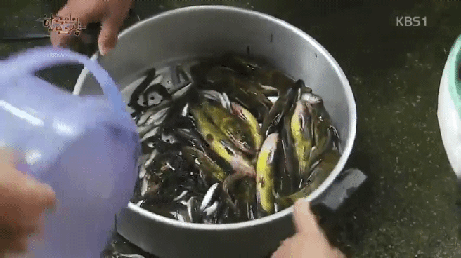 한국인의 밥상 육십령 밥상편 | 인스티즈