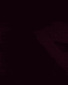 귀여움 주의 (고양이 주의) | 인스티즈