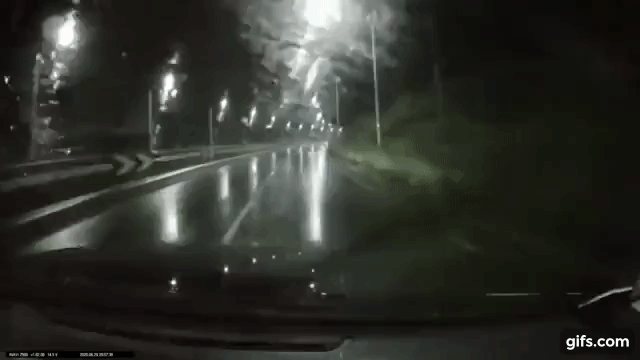 반자율주행을 맹신하면 안되는 이유 | 인스티즈