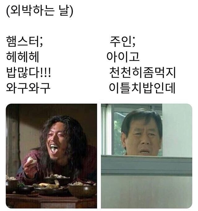 햄스터 키우는 사람들 공감 | 인스티즈