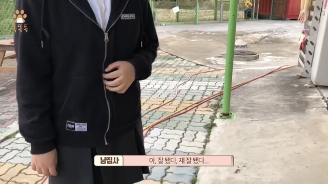 아무도 찾지 않는 믹스견 이야기 | 인스티즈