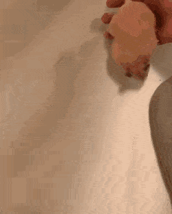 주인 등산하는 햄스터...gif | 인스티즈