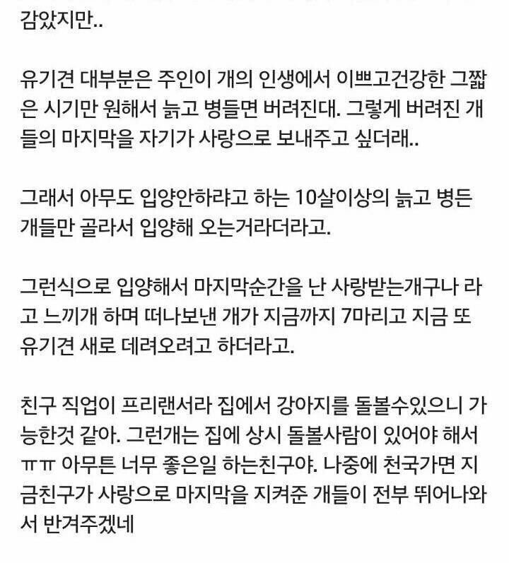 친구가 늙은 개만 입양하는 이유.jpg | 인스티즈