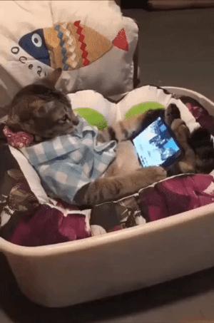 심각한 스마트폰 중독!! | 인스티즈