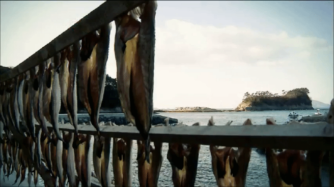 한국인의 밥상 물메기 밥상편 | 인스티즈