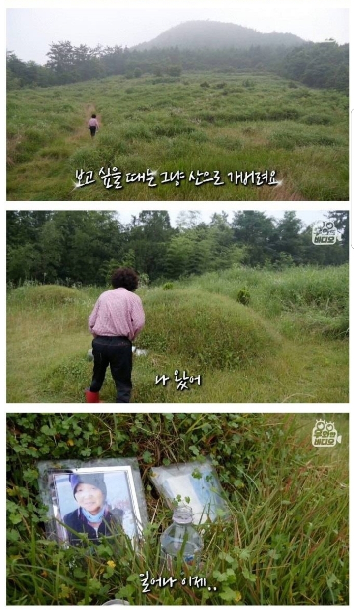 스압) 할아버지의 무덤 로맨스.jpg | 인스티즈