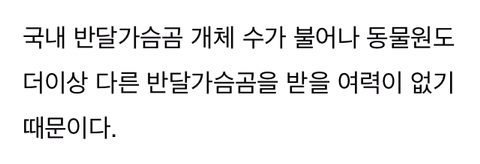 경영난으로 문 닫은 텅 빈 포천동물원에서 홀로 빈 집 지키는 곰돌이 | 인스티즈