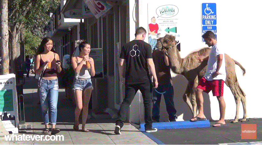 와~ 도끼자국 엄청 크다~ | 인스티즈