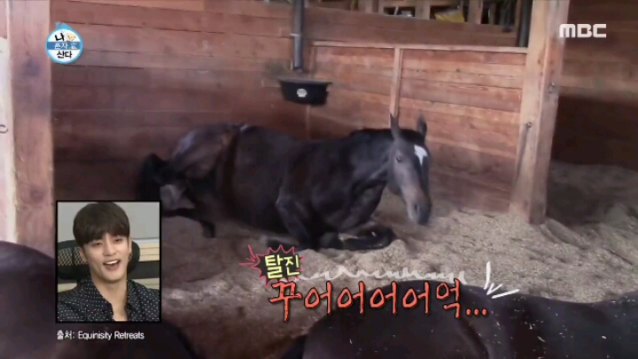 [나혼자산다] 친구들과 노래방에 간 임수향.jpgif | 인스티즈