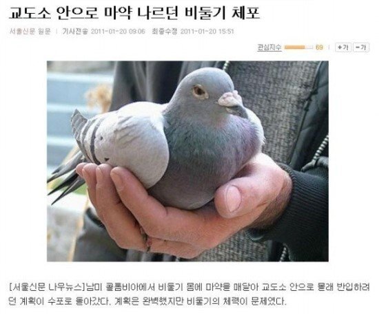 평화 이미지