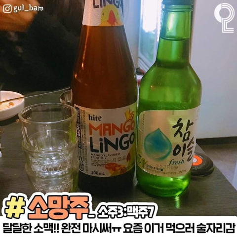 소주 꿀조합 추천 레시피 jpg | 인스티즈