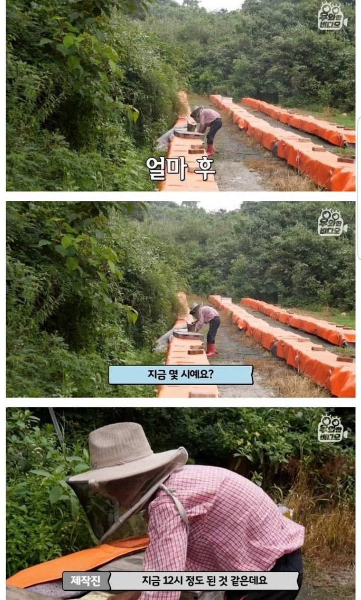 스압) 할아버지의 무덤 로맨스.jpg | 인스티즈