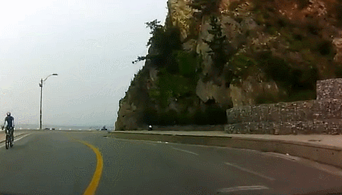 고라니 천국 대한민국 | 인스티즈