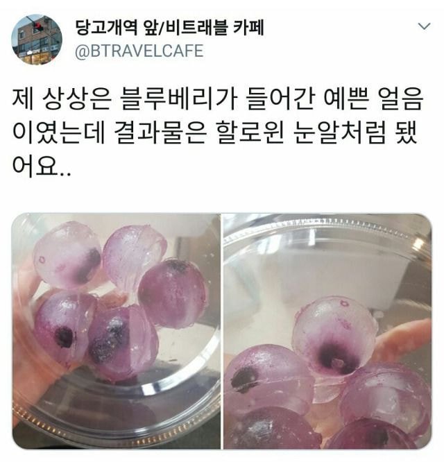 블루베리를 넣은 얼음 | 인스티즈