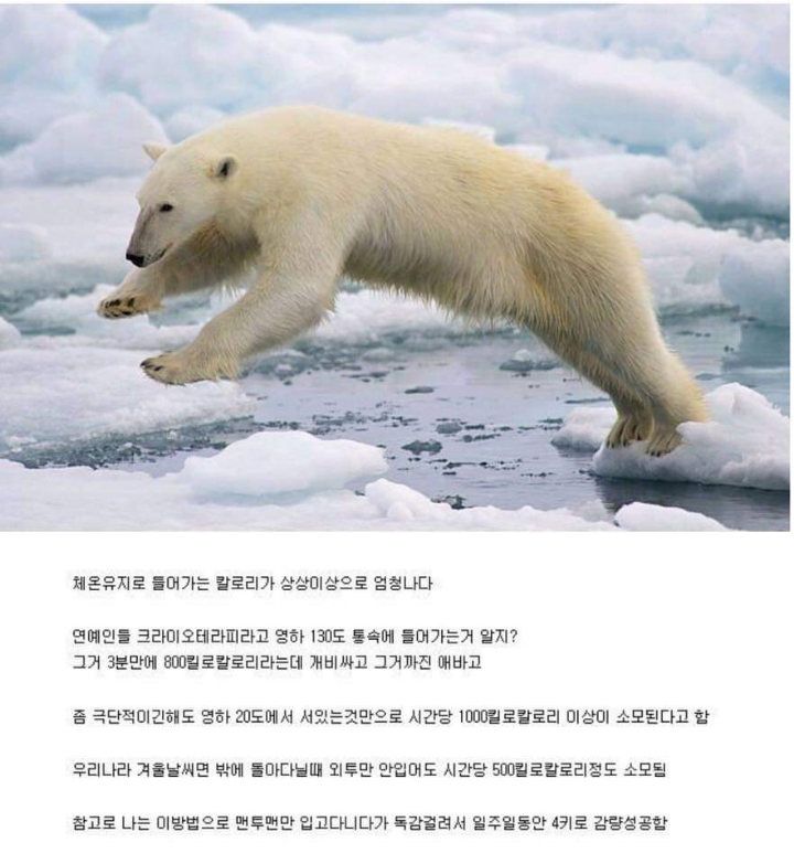 살빼고 싶다면 겨울에 얇게 입고 다녀라 | 인스티즈