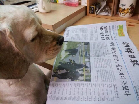 보수적인 댕댕이.jpg | 인스티즈