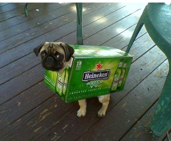 남편이 와이프에게 두들겨맞아도 할말없는이유 | 인스티즈