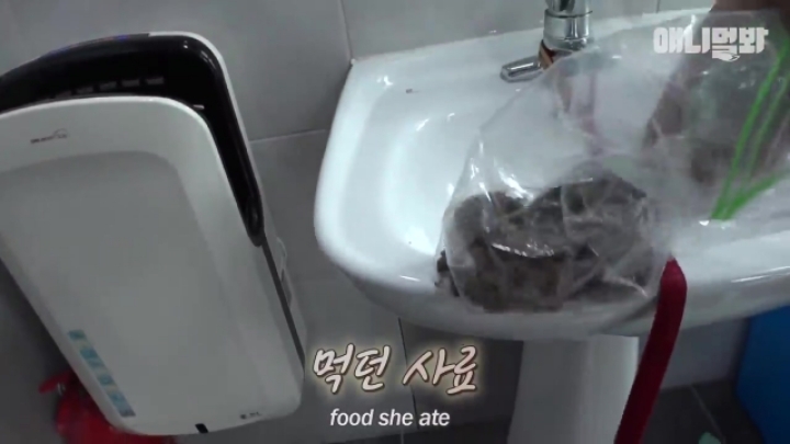 산책로 화장실에 유기된 강아지의 사연.jpg | 인스티즈