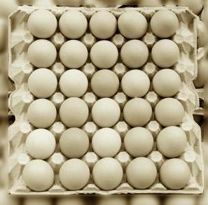 90년생 동생분들 축하드립니다! | 인스티즈